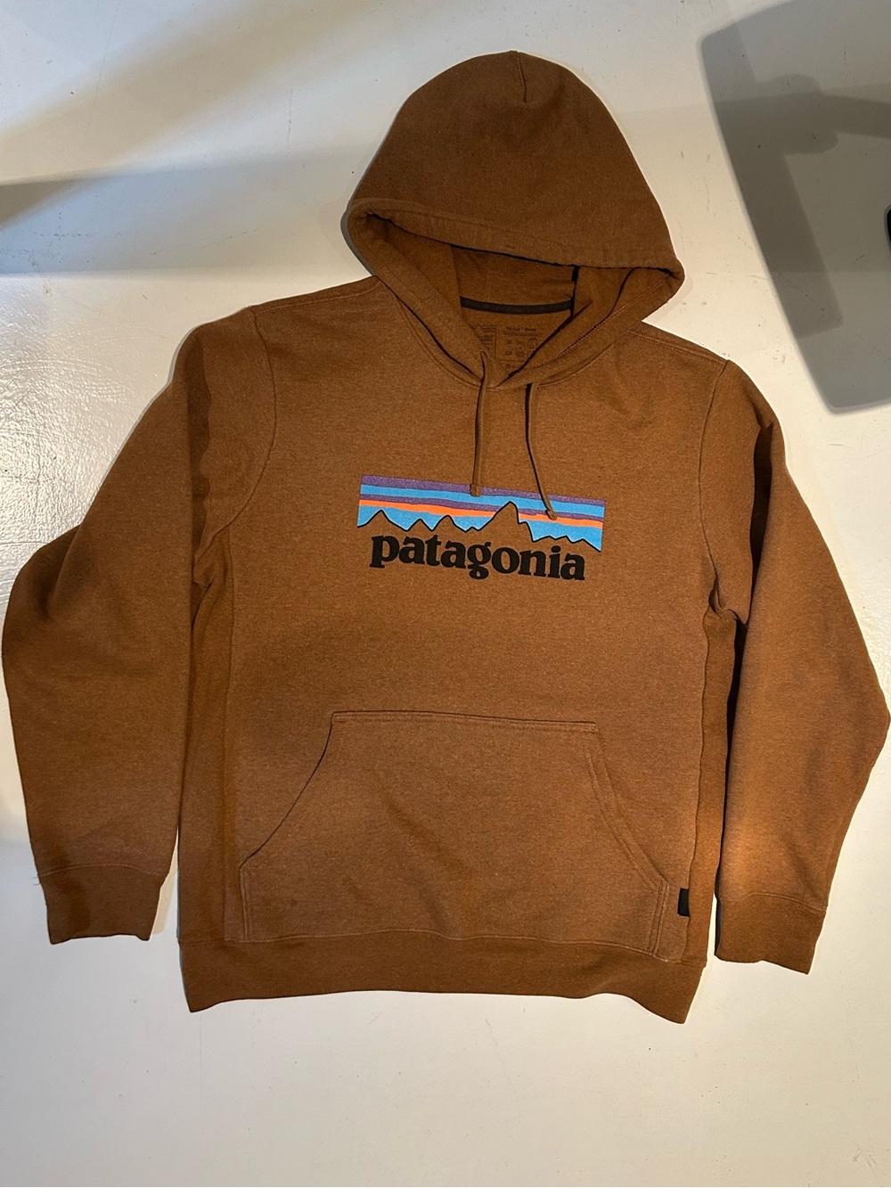 Patagonia Brown Hoodie with Multicolor Mountain Logo